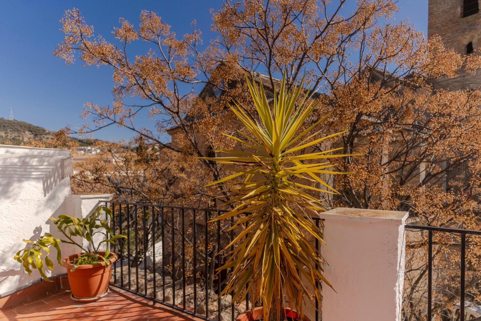 La Casita De La Plaza Villa Granada Eksteriør billede